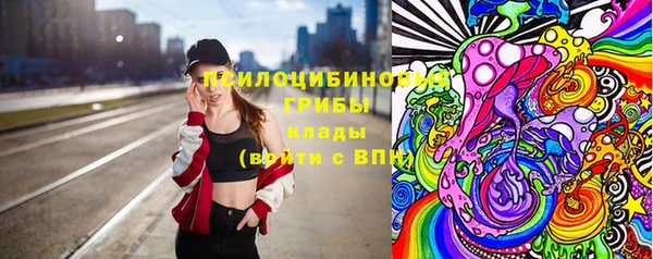 твердый Каменка