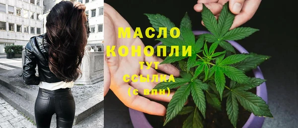 твердый Каменка