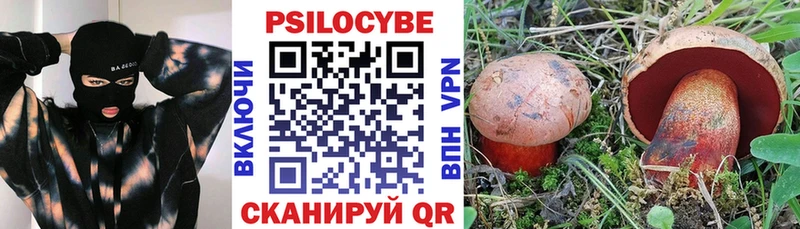 Псилоцибиновые грибы Psilocybine cubensis  Купить где  Губкинский 
